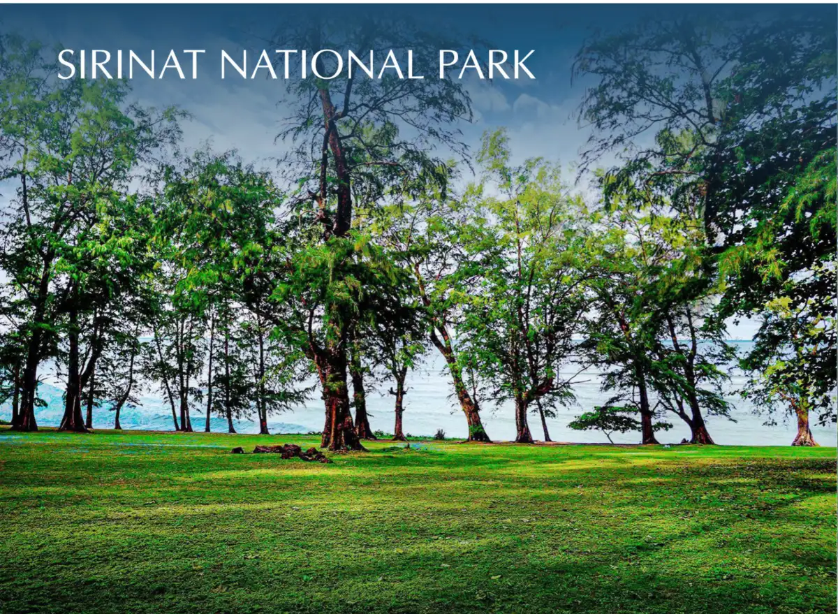 Royal Lee The Terminal Phuket คอนโดใกล้สนามบินภูเก็ต ทำเลสาคู–ถลาง พร้อมอยู่และเหมาะสำหรับการลงทุน