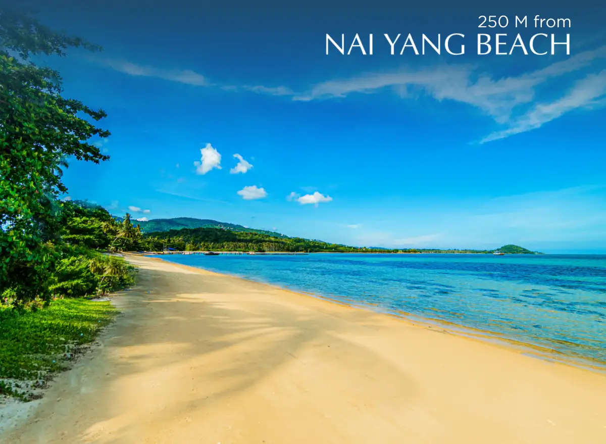 Royal Lee The Terminal Phuket คอนโดใกล้สนามบินภูเก็ต ทำเลสาคู–ถลาง พร้อมอยู่และเหมาะสำหรับการลงทุน